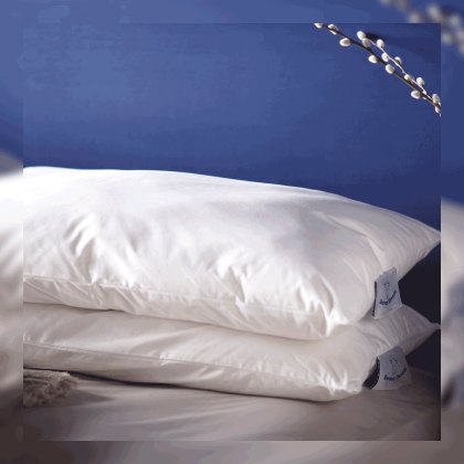 Original Wool Pillow by Devon Duvets Original Wool Pillow by Devon Duvets