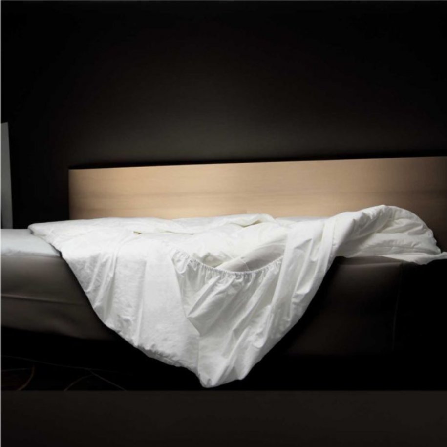 Devon Duvets Wool Mattress Protector by Devon Duvets